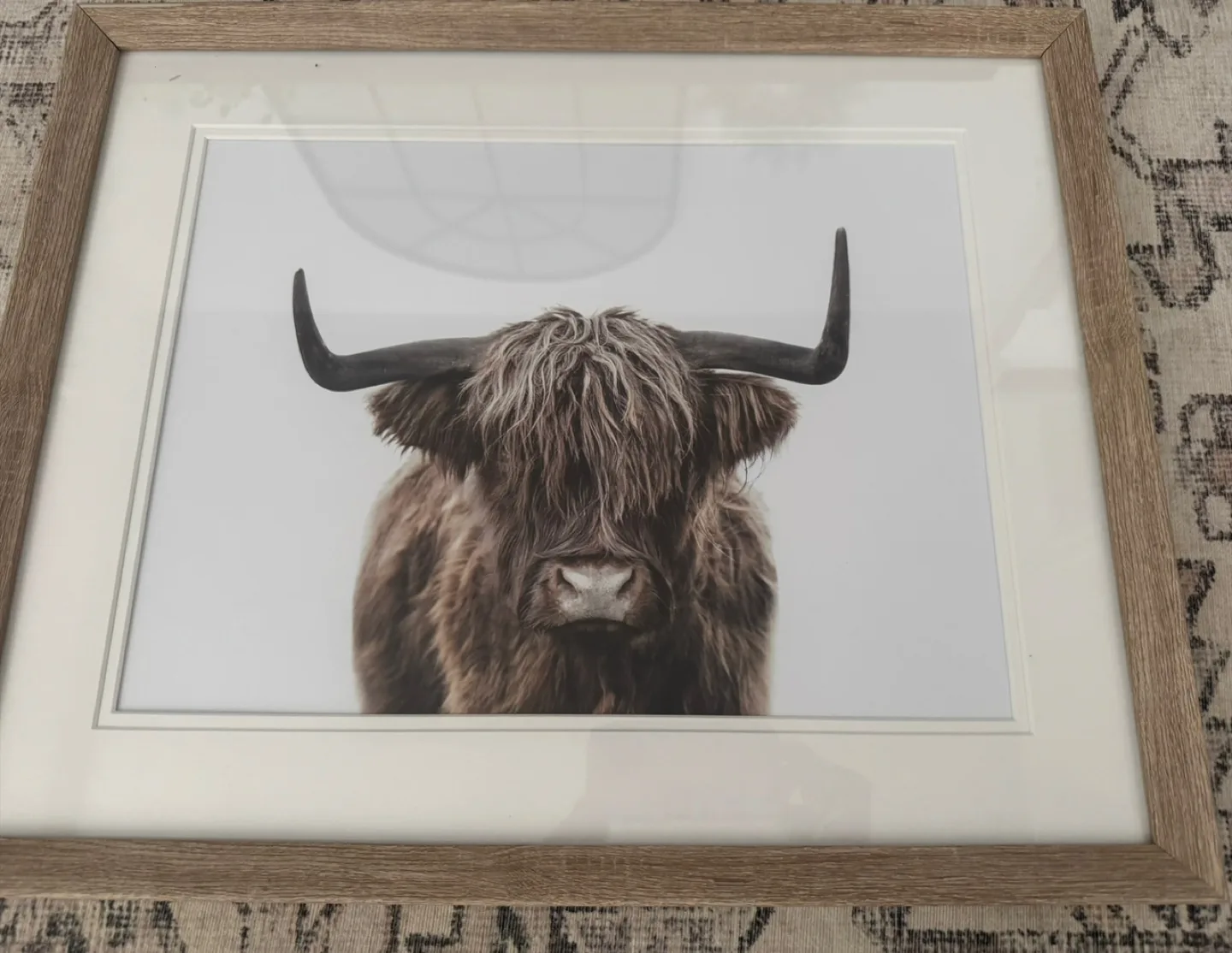 Framed Highland Cow Print thumbnail