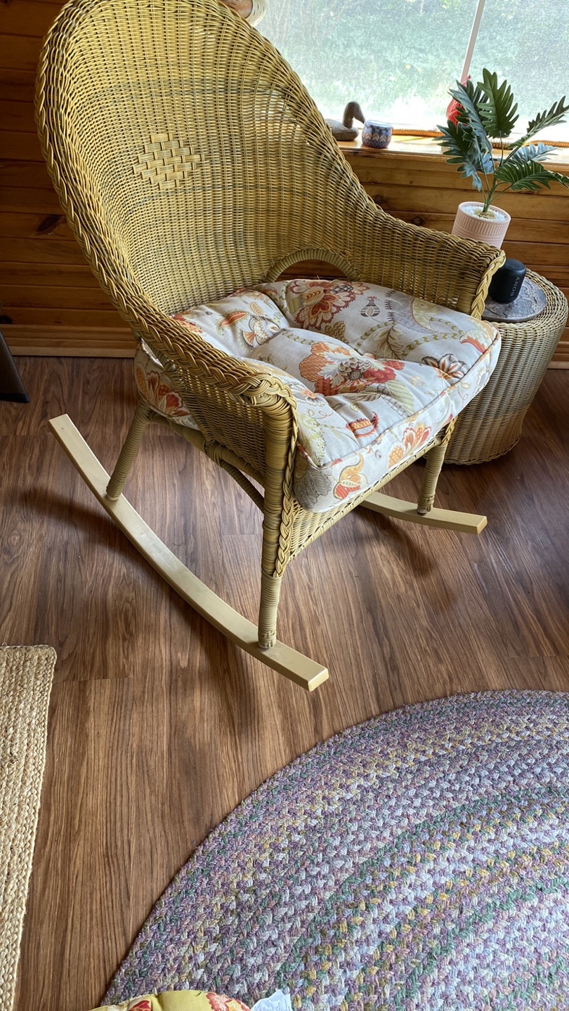 Pier 1 Imports Floral Chair Cushion - photo 5