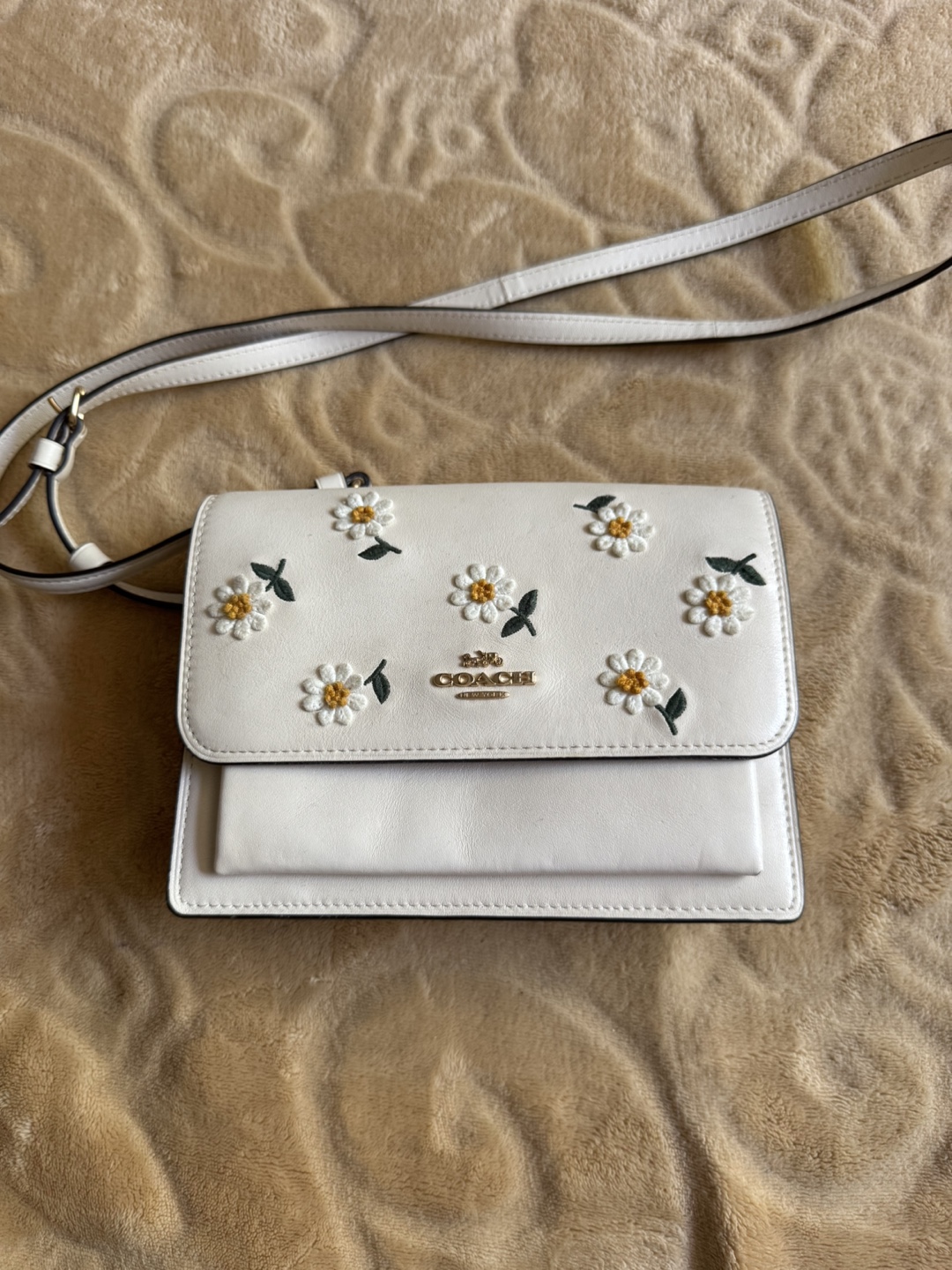 Coach Daisy Embroidered crossbody bag