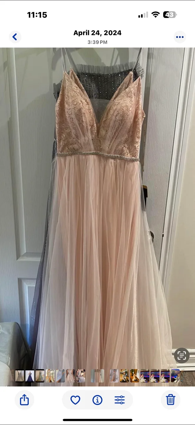 Elegant Blush Pink Lace Formal Gown thumbnail