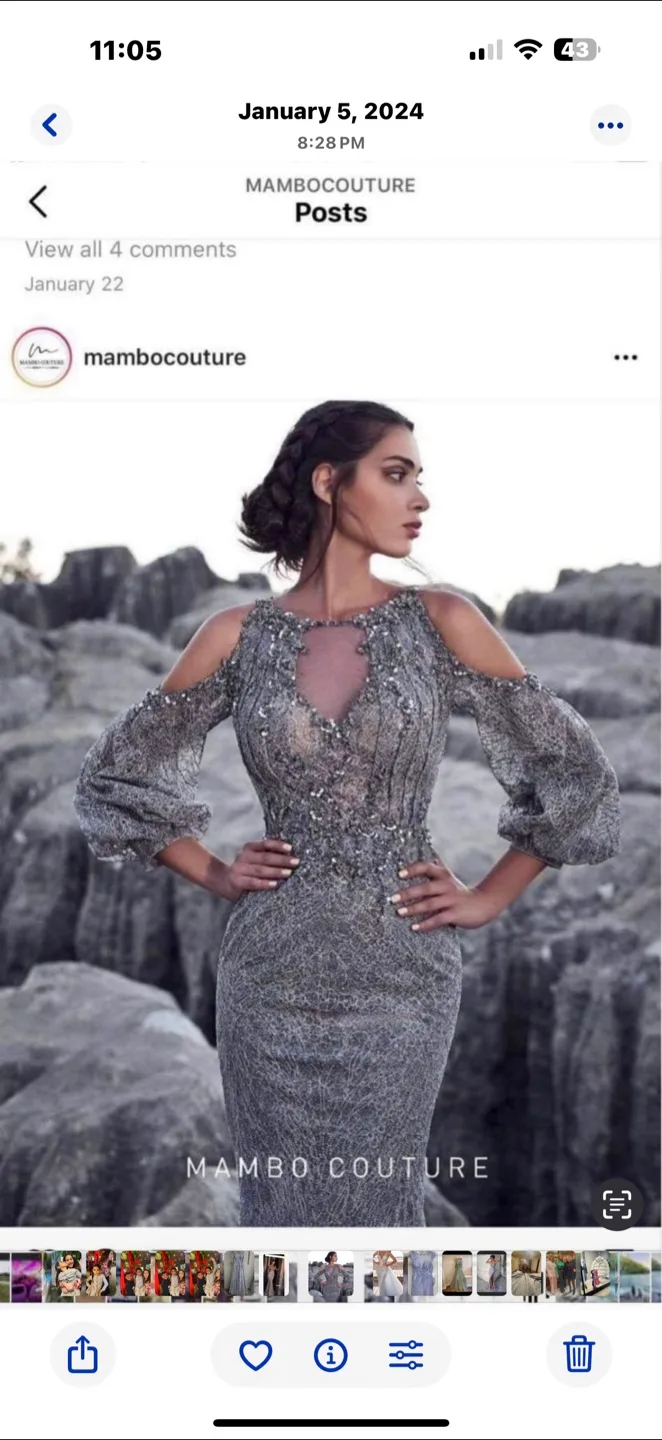 Mambo Couture Embellished Gown(new) thumbnail