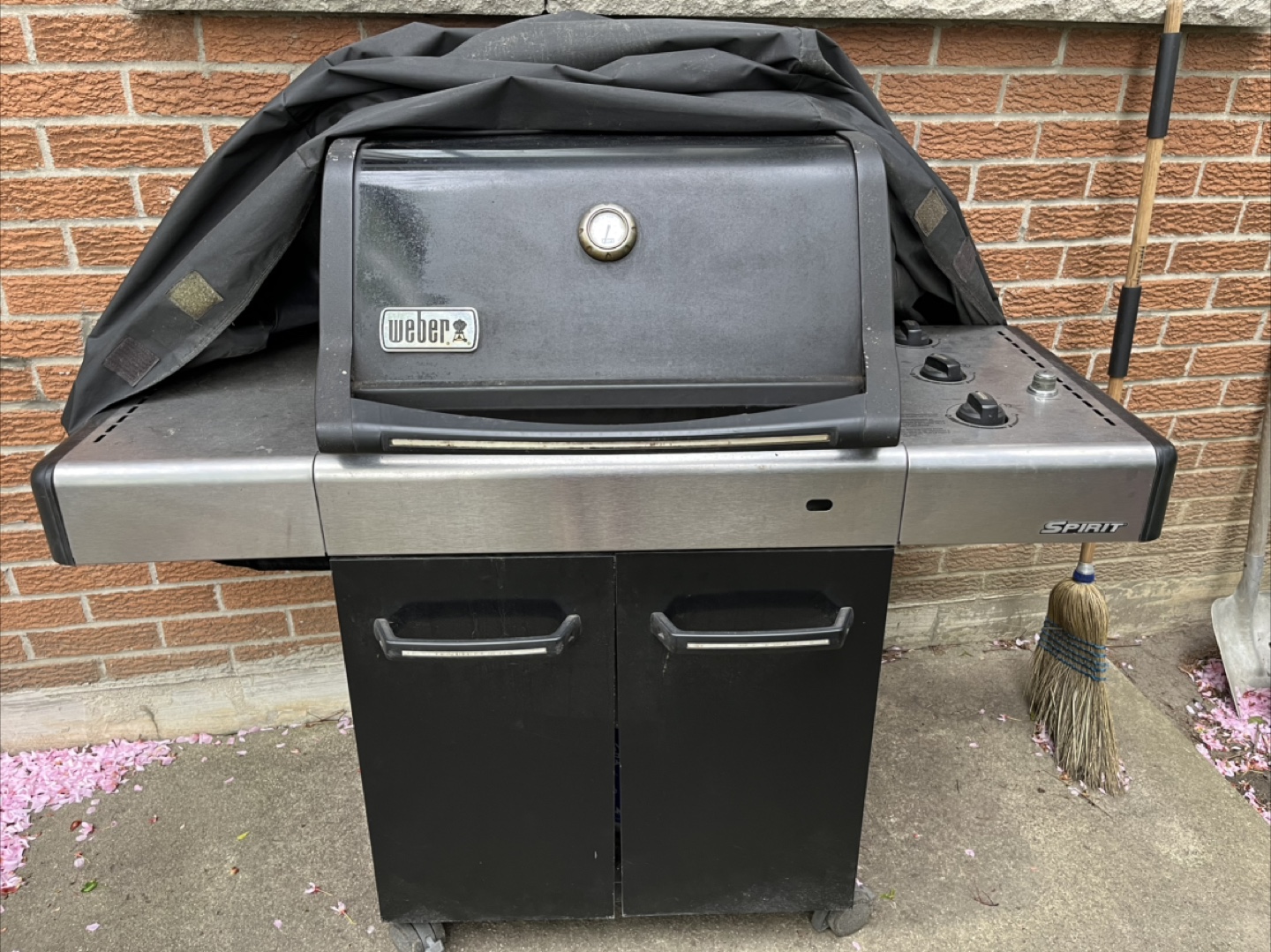 Weber Spirit Gas Grill - photo 2
