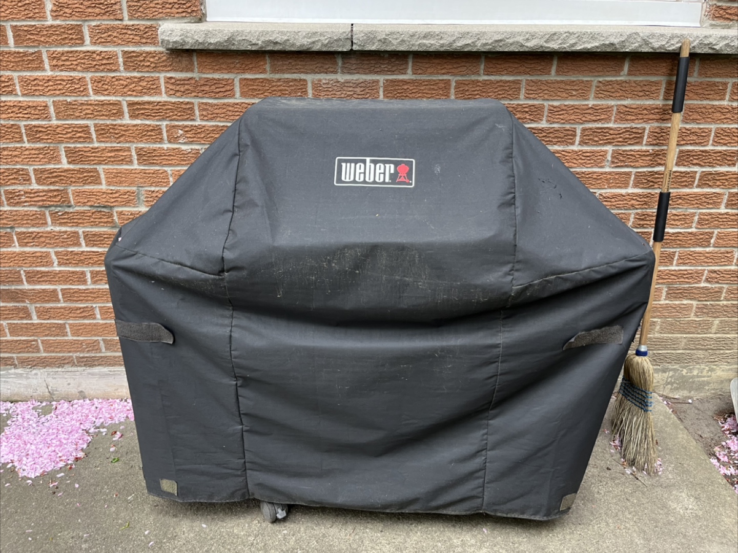 Weber Spirit Gas Grill