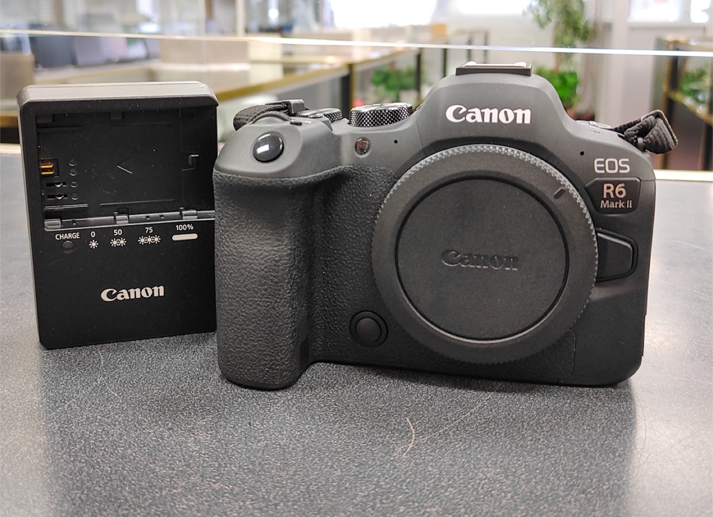 Canon EOS R6 Mark II 24.2MP Mirrorless Camera < 8000 Actuations