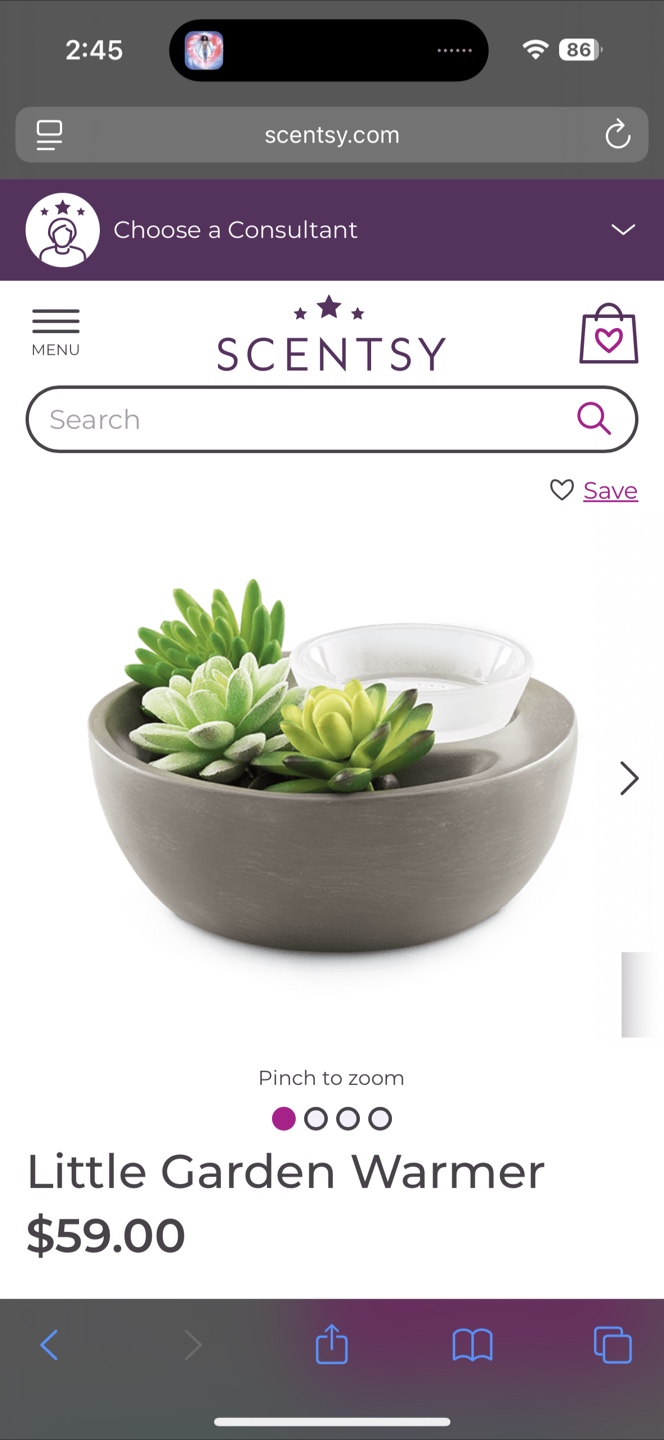 Scentsy Little Garden Warmer - photo 4