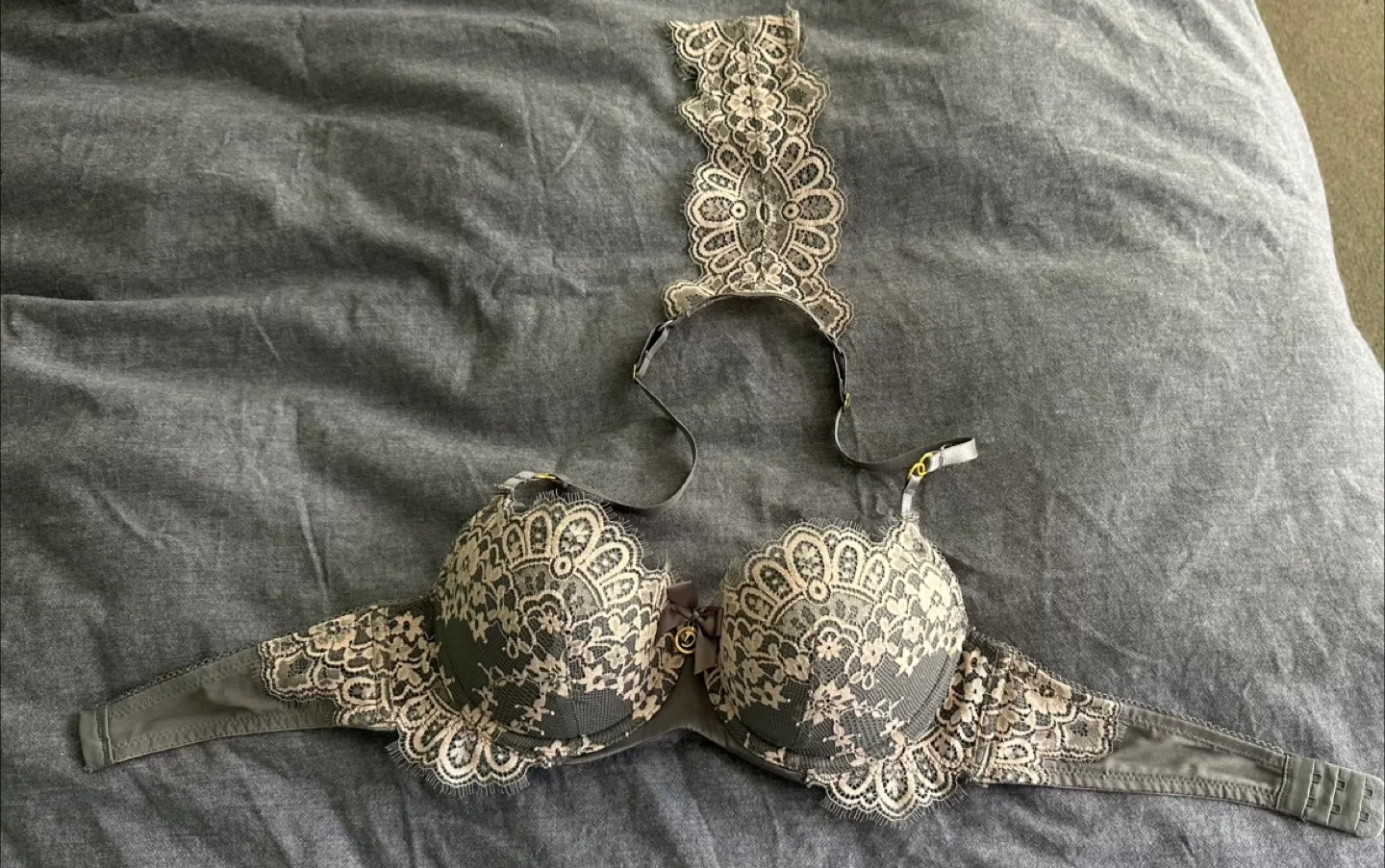 Gorgeous Grey Lace Bra image indicator(3)