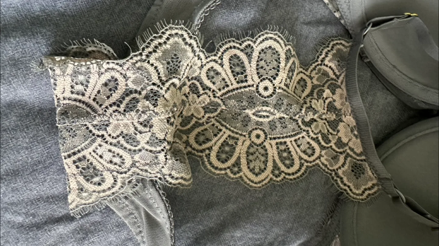 Gorgeous Grey Lace Bra image indicator(2)