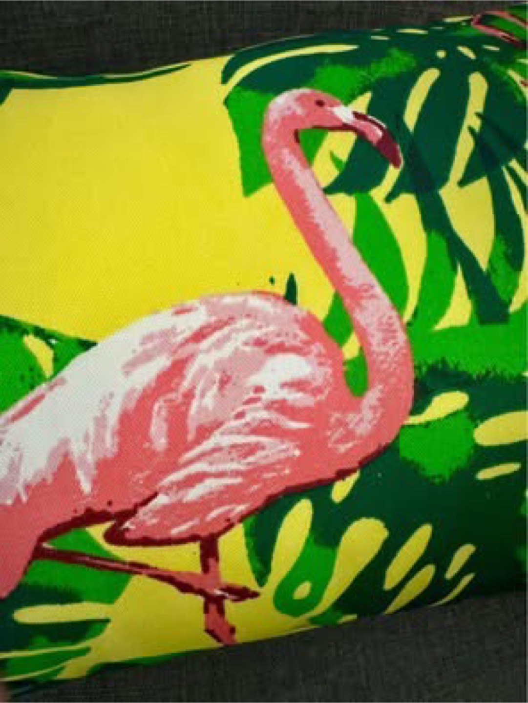 Cushion Outdoor/Indoor - Tropical Flamingo🦩- Brand New - photo 3
