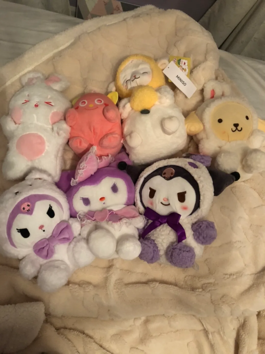 7 adorable plush toys (Sanrio, miniso) 🏒 thumbnail