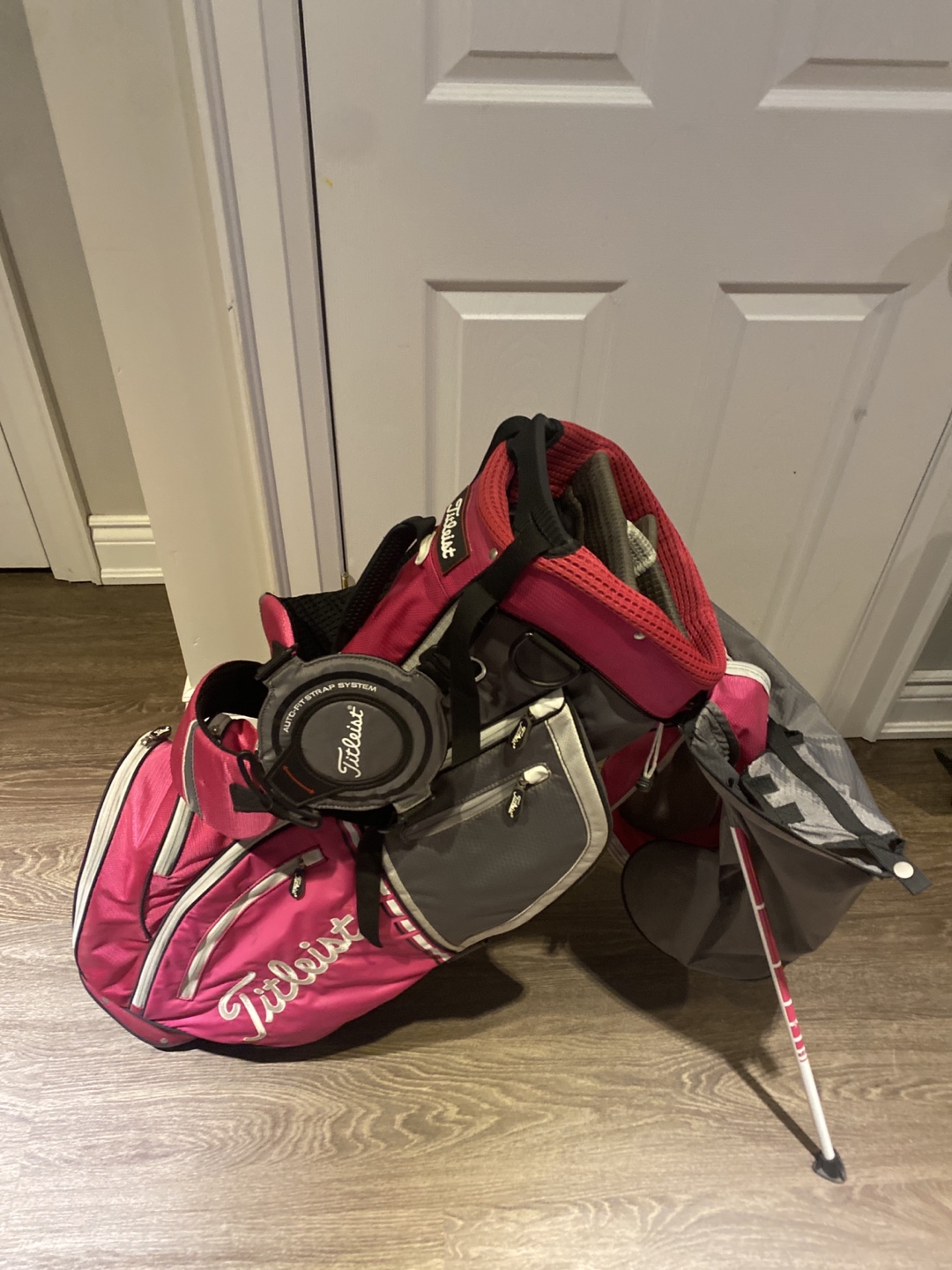 Titleist Pink and Grey Golf Stand Bag