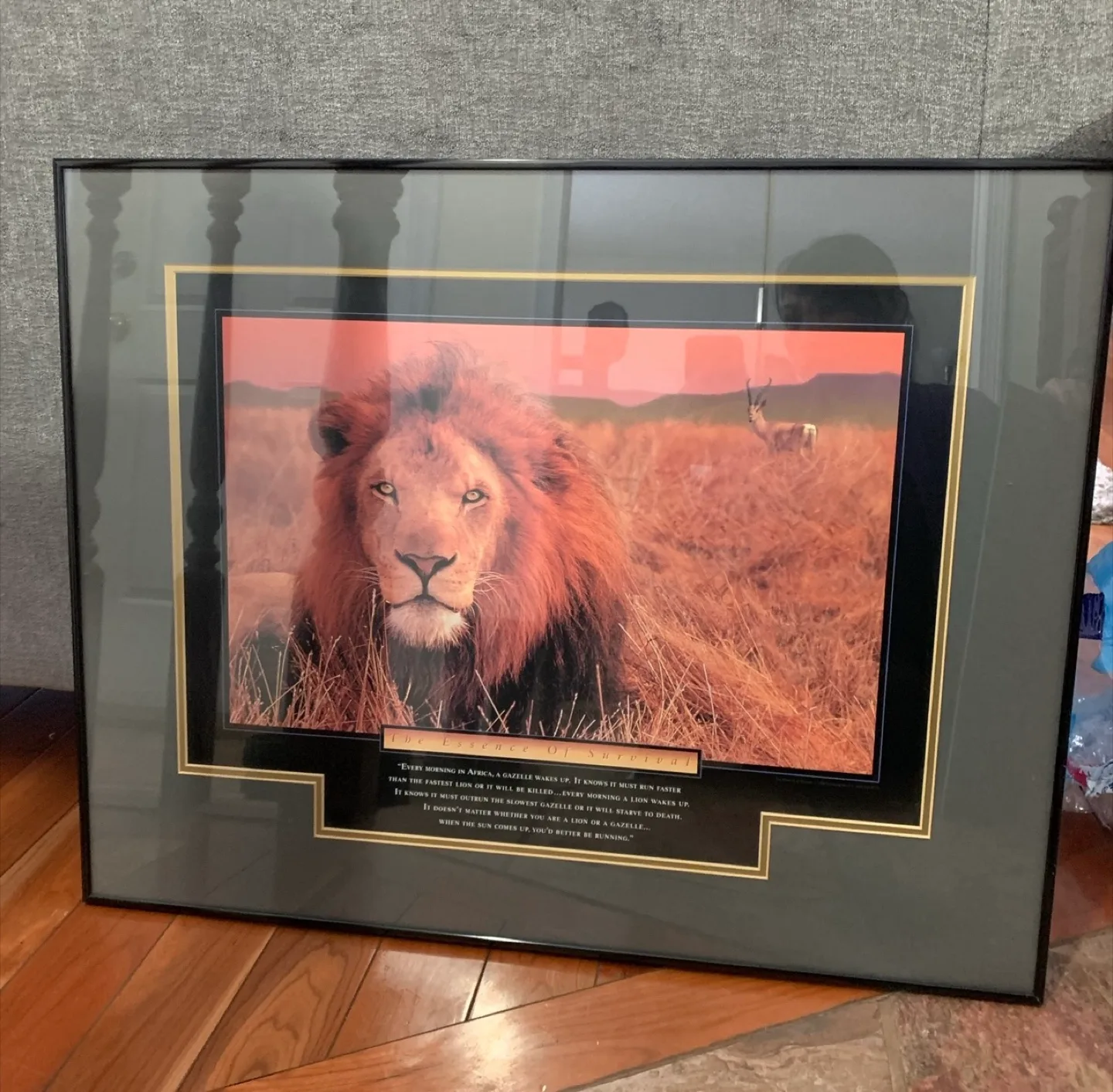 Framed Lion Print thumbnail