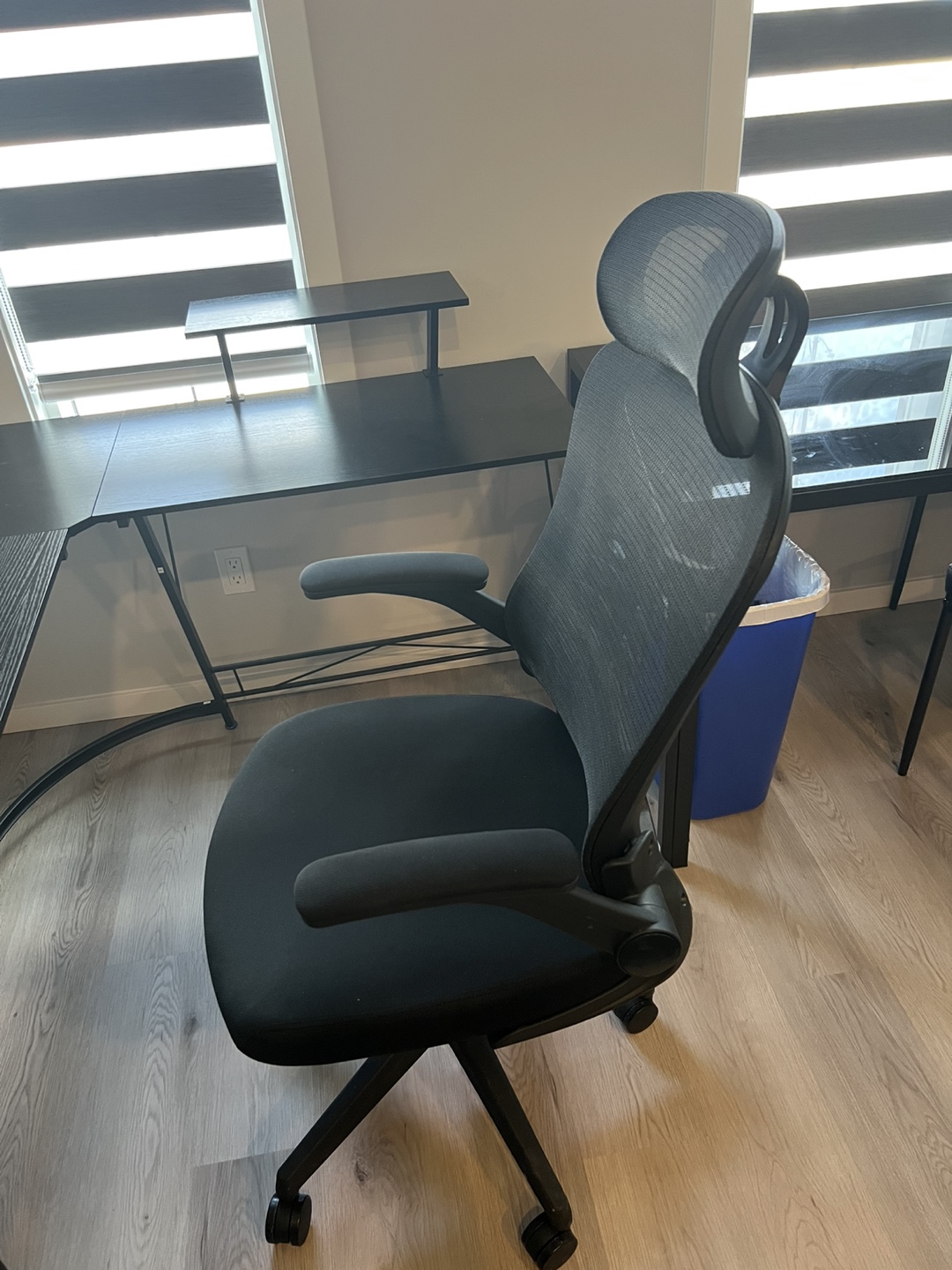 Ergonomic Mesh Office Chair with Headrest