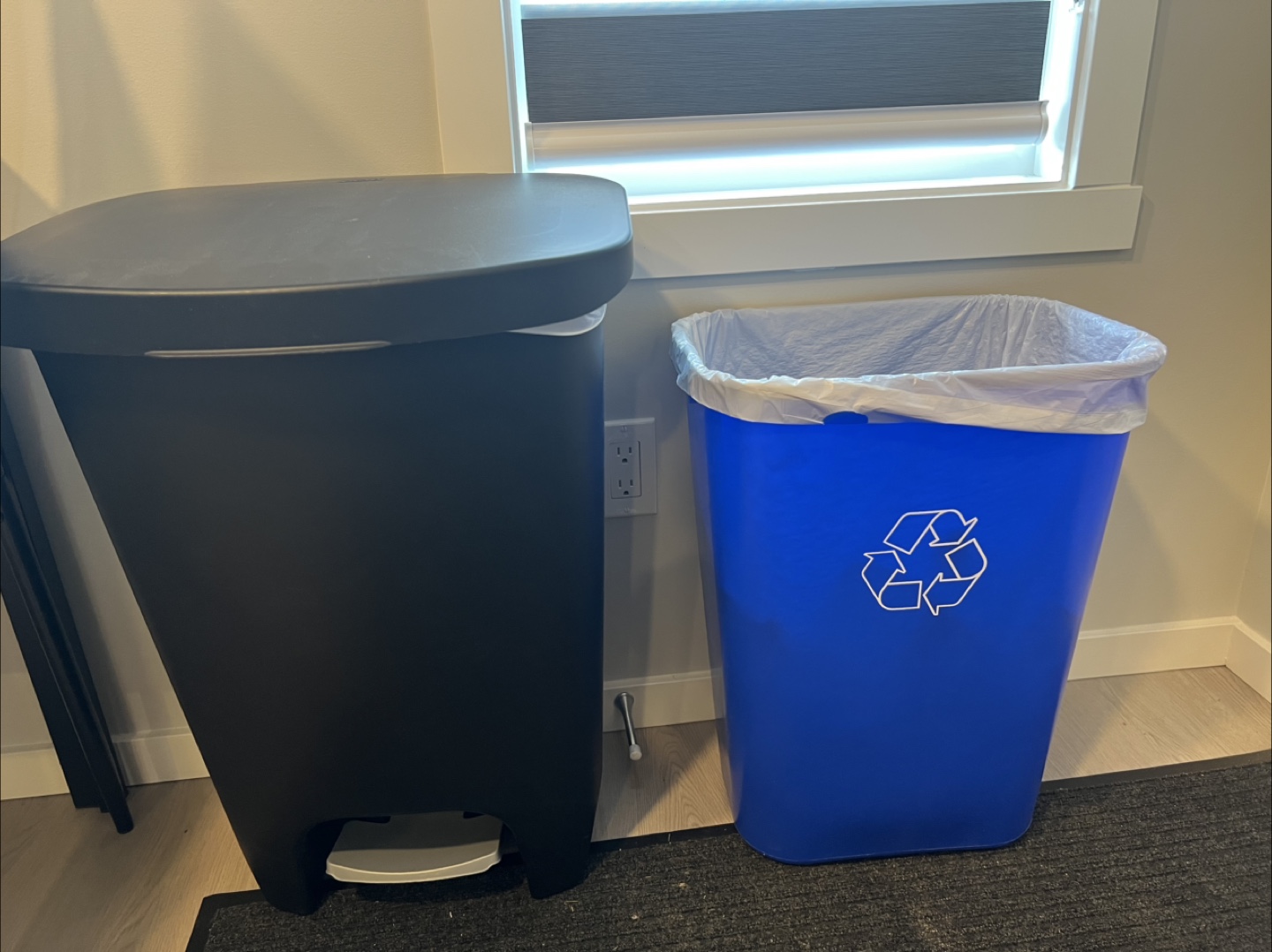 Black Step Trash Can and Blue Recycling Bin