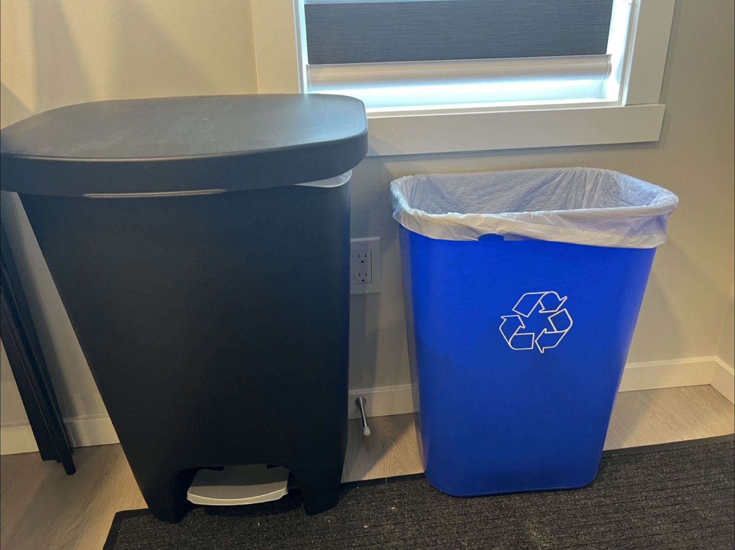 Black Step Trash Can and Blue Recycling Bin - photo 2
