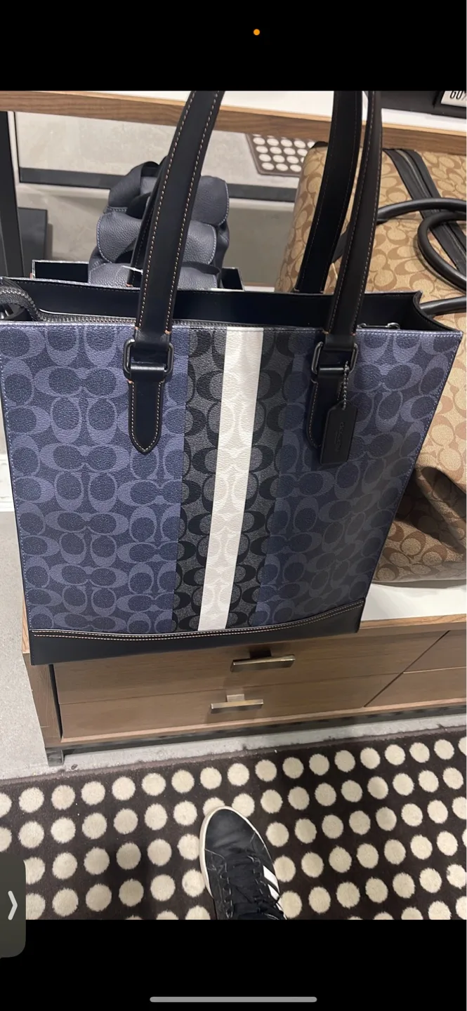 Coach Tote Bag - Multicolor Signature Canvas thumbnail