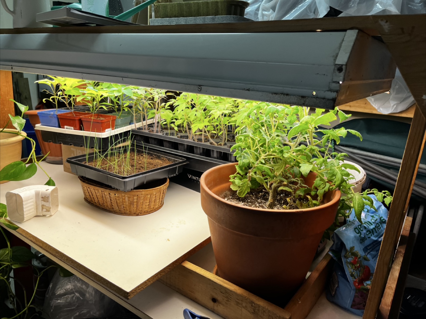 Homemade Seedling Grow Station with Light