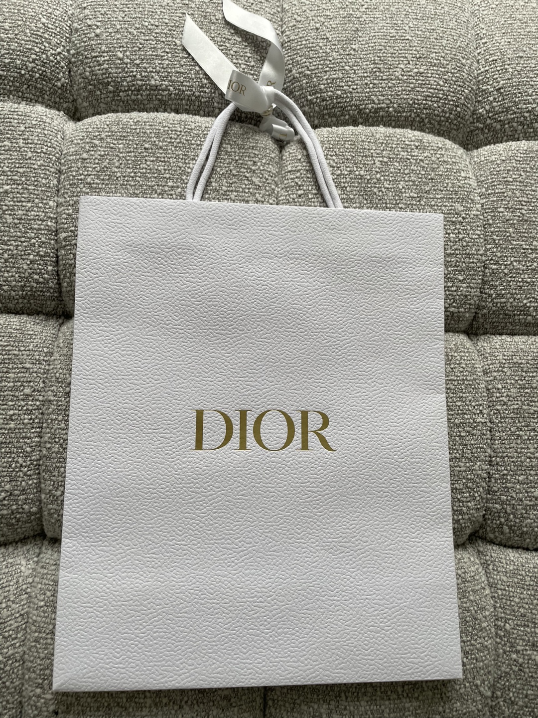 Dior shopping bag