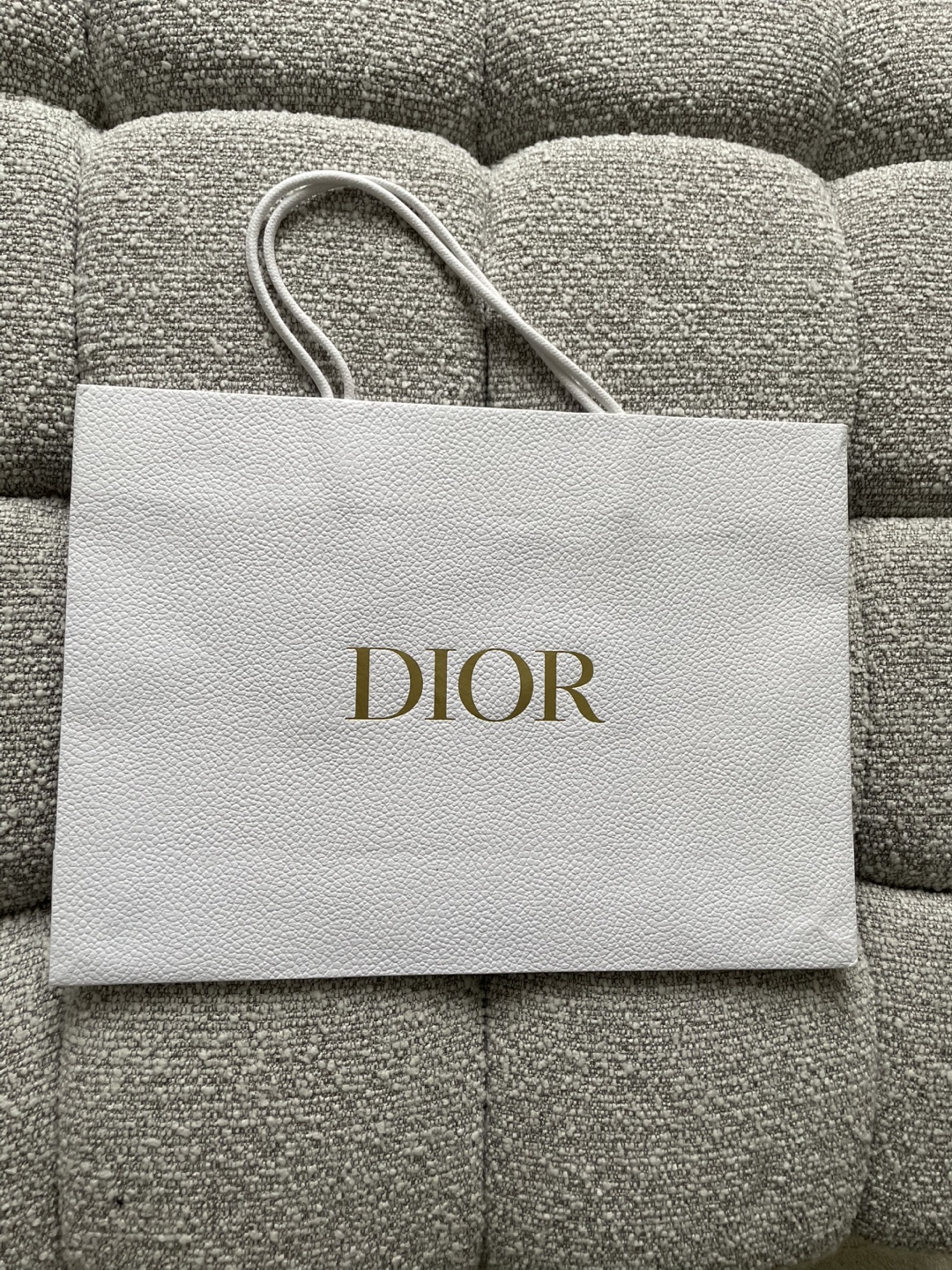 Dior Shopping Bag