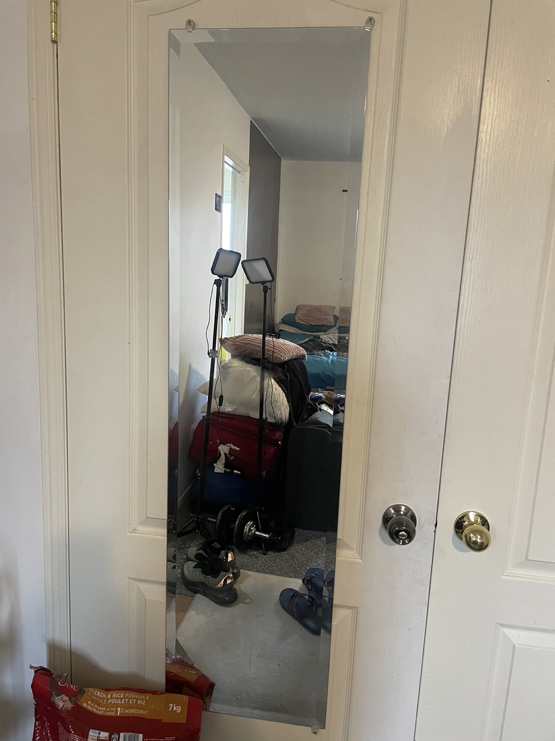 Full Length Mirror - Door Mounted - photo 4