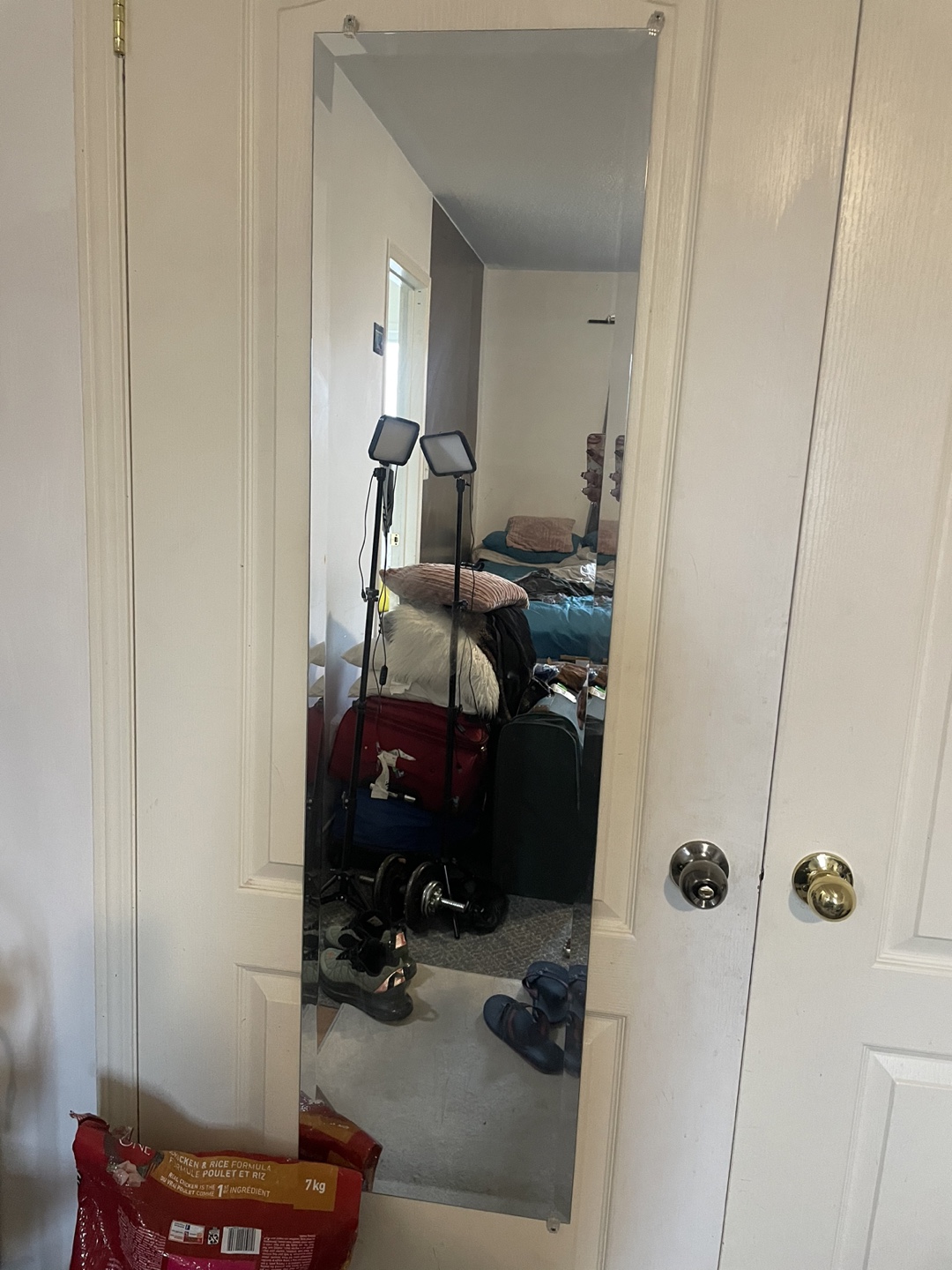 Full Length Mirror - Door Mounted - photo 3
