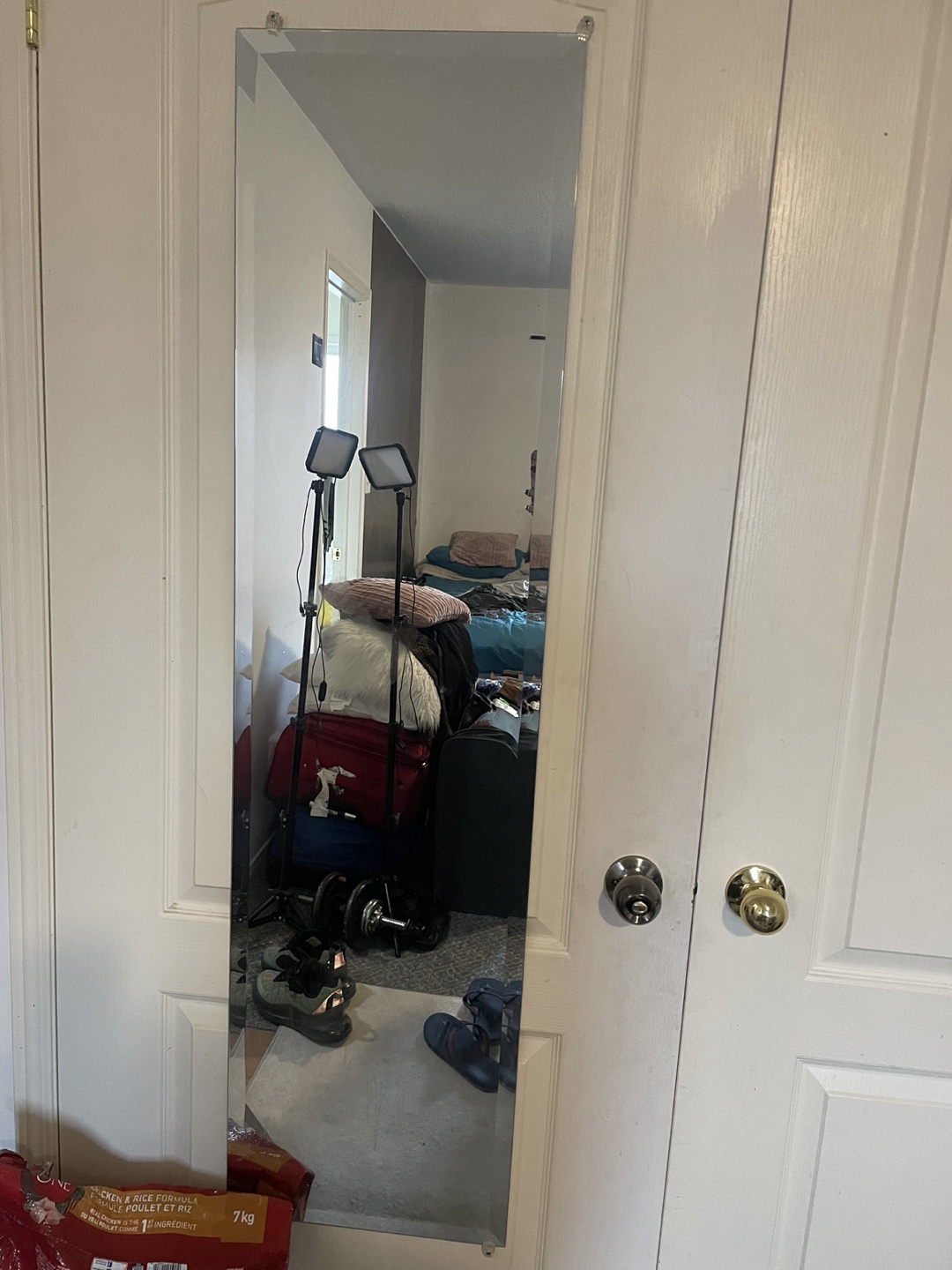 Full Length Mirror - Door Mounted - photo 2