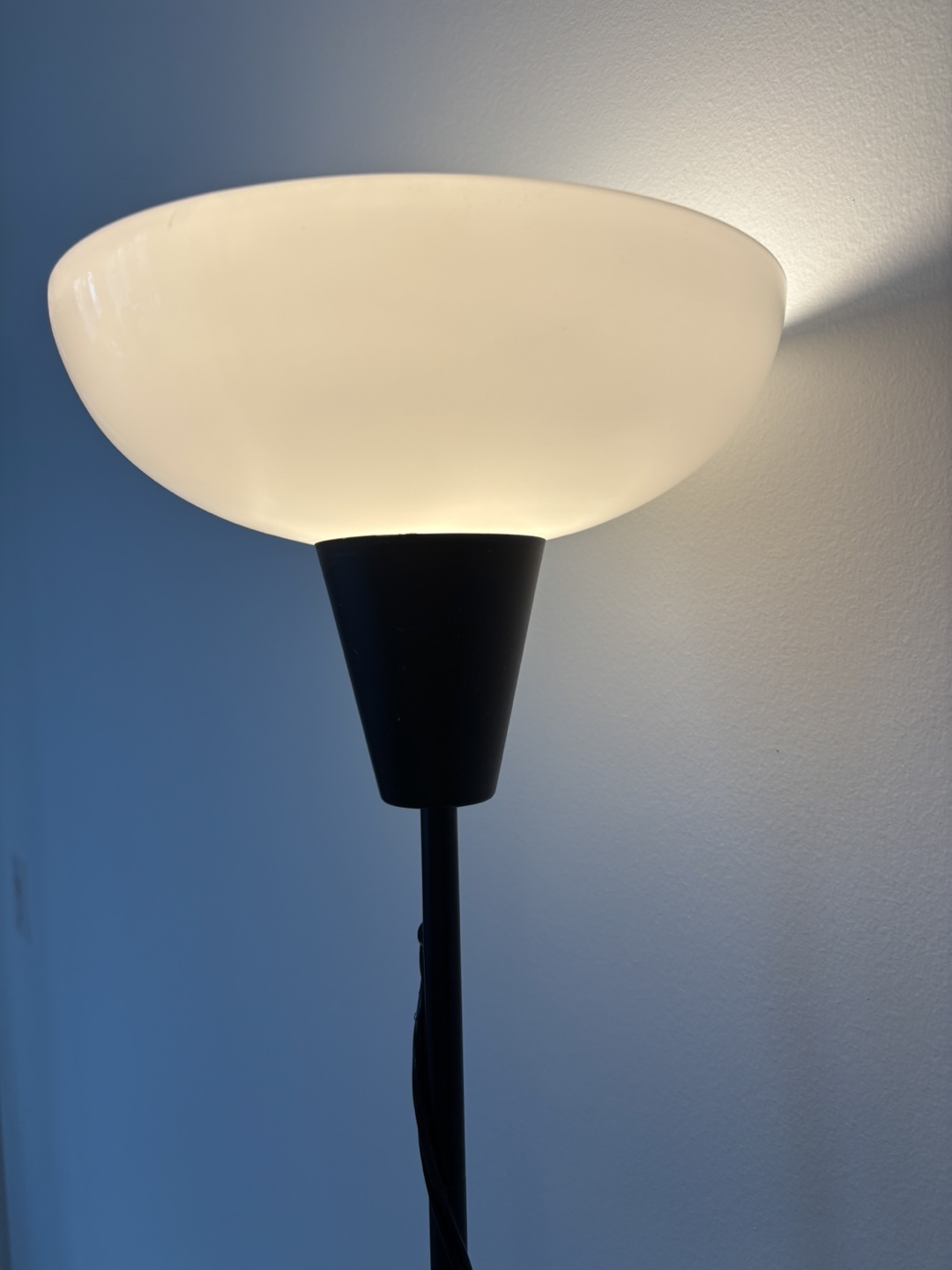 Black Floor Lamp with White Shade - photo 4