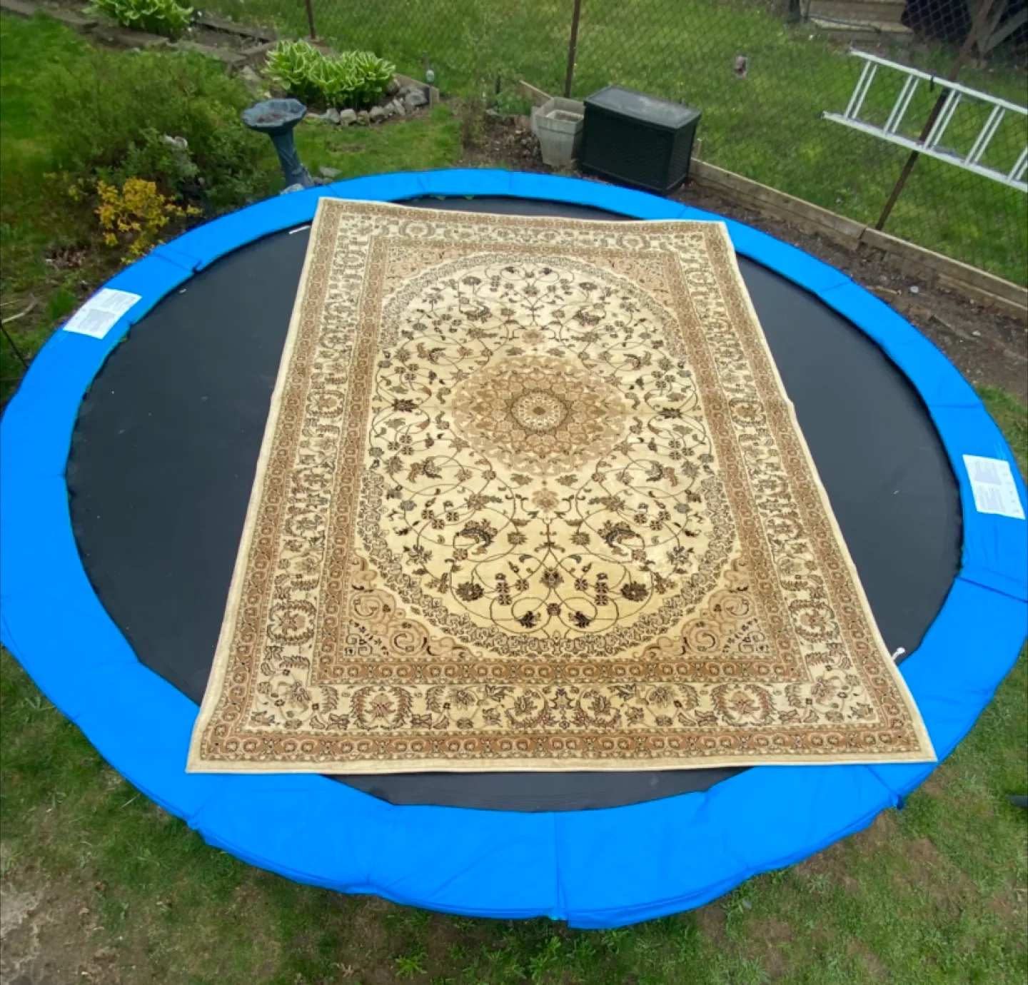 Tabrizi Rugs Prestige Area Rug thumbnail