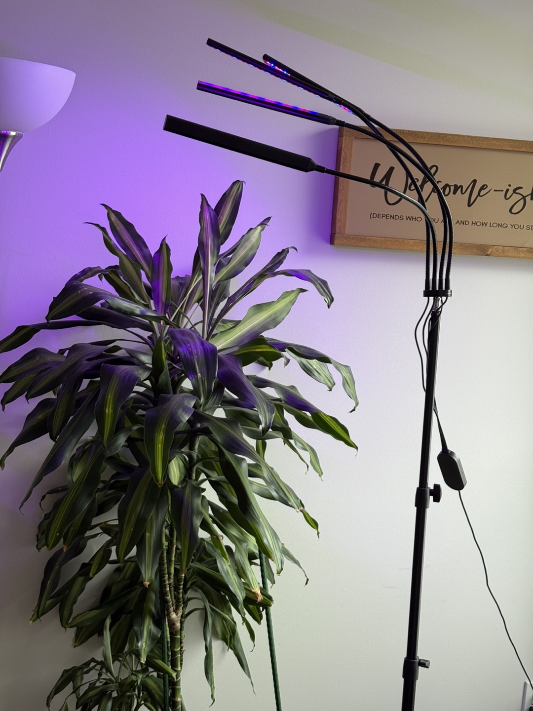 4-Head Plant Grow Light Stand with Timer - photo 2