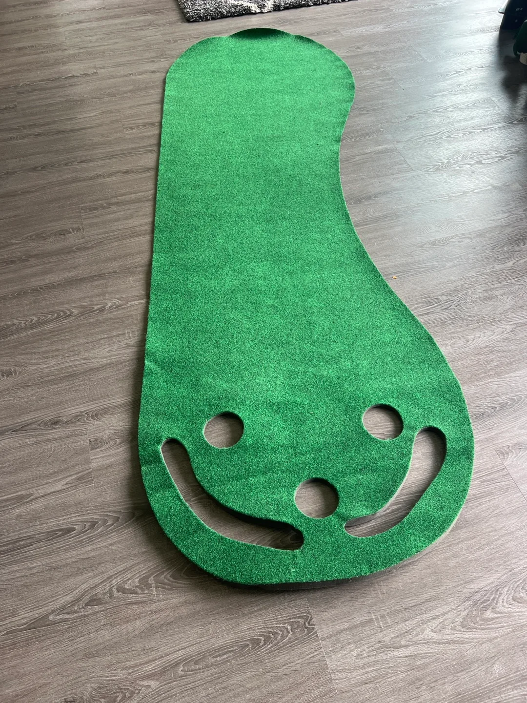 Golf Putting Green Mat thumbnail