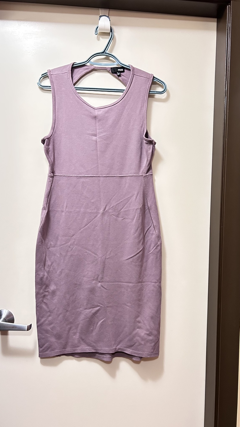 Wilfred FREE  Purple Sleeveless Mini Dress Size L