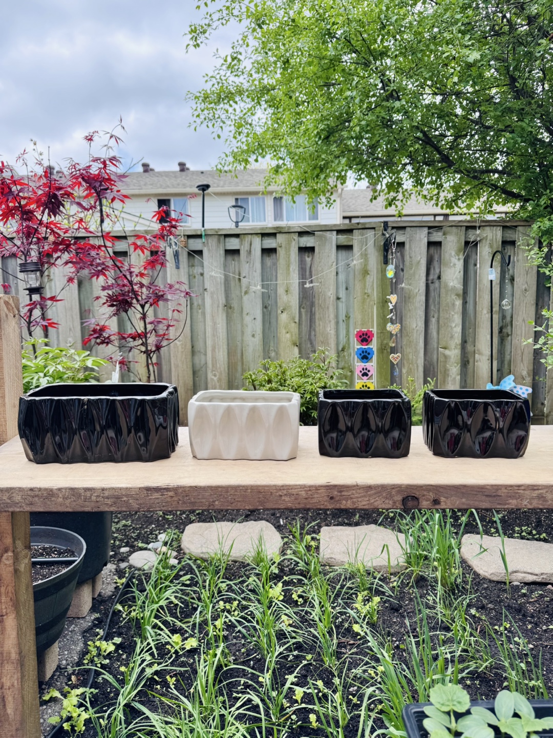 Flower Pot - $10 for ALL - photo 2
