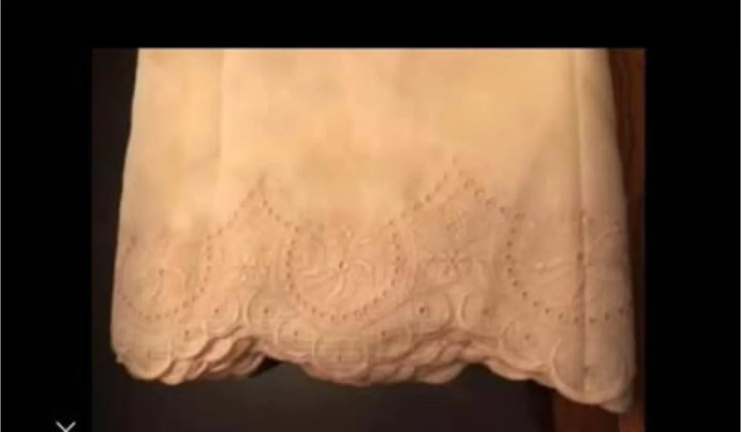 Beautiful Eyelet-Embroidered fabric for curtains/drapes image indicator(2)