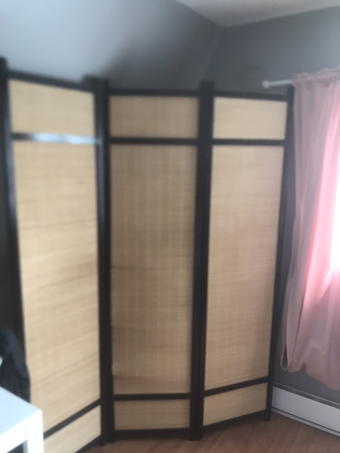 Room Divider Screen - photo 2