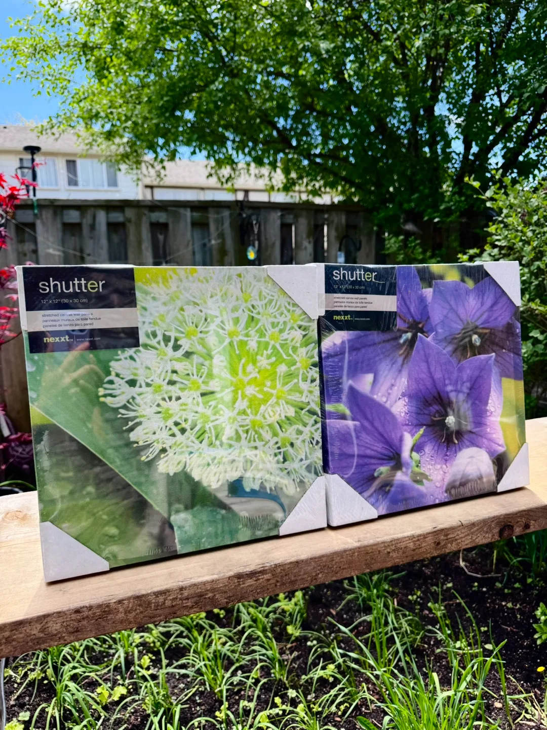 Brand New Decorative Canvas Wall Art - Flower thumbnail