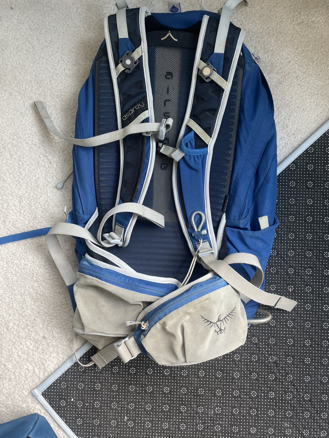 Osprey Talon 22 Backpack - Blue and Grey - photo 2