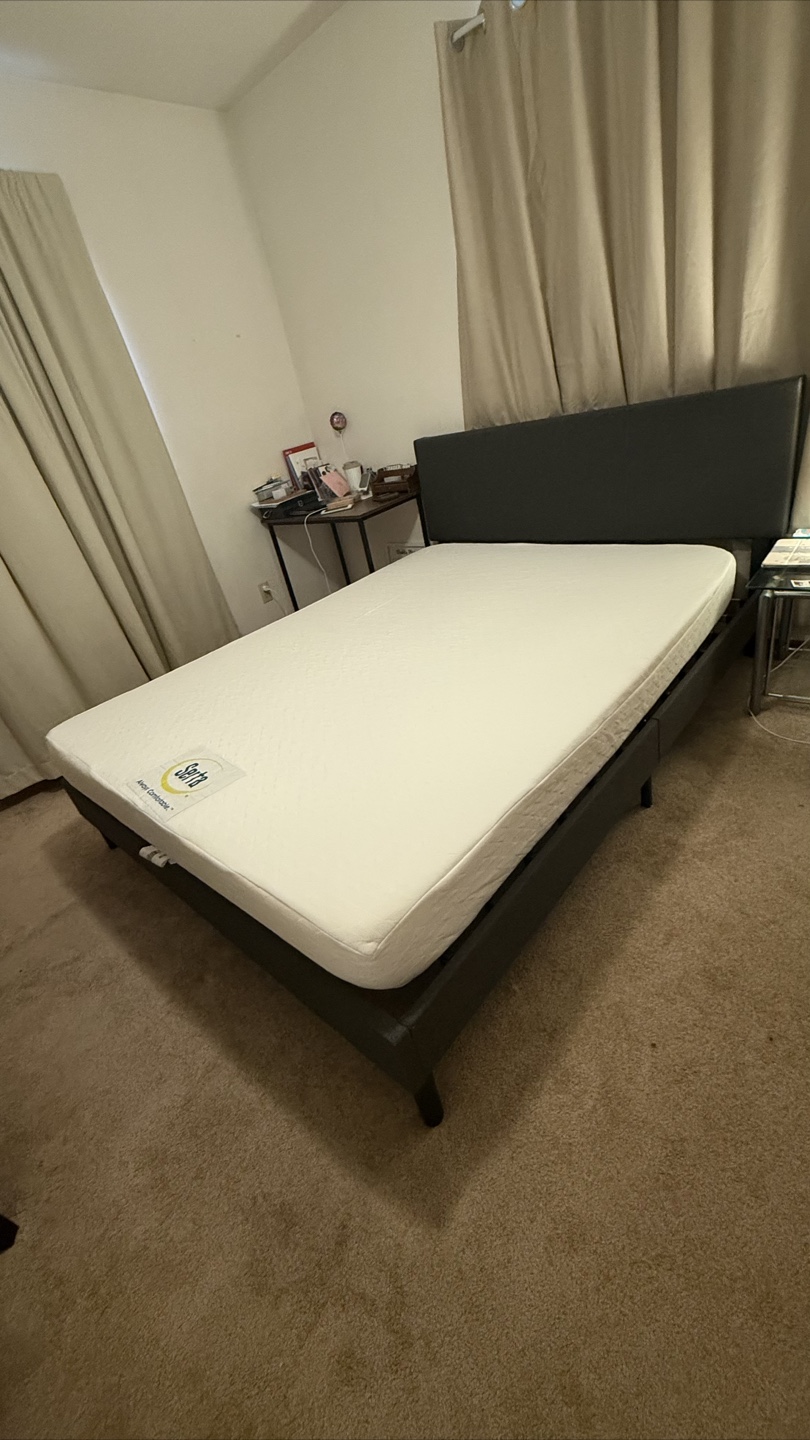 Queen bedframe and mattress