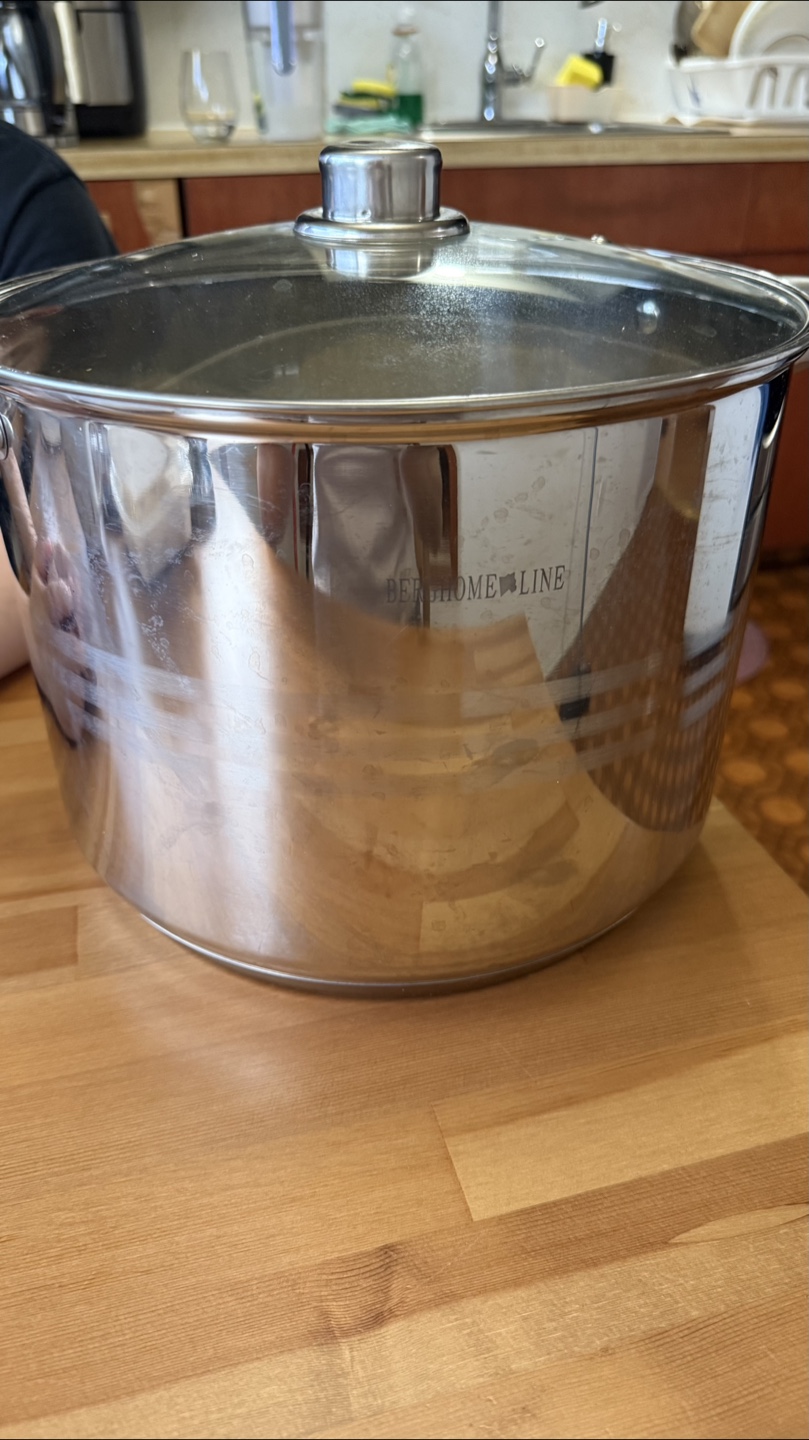 Berghomeline Stainless Steel Stock Pot with Lid