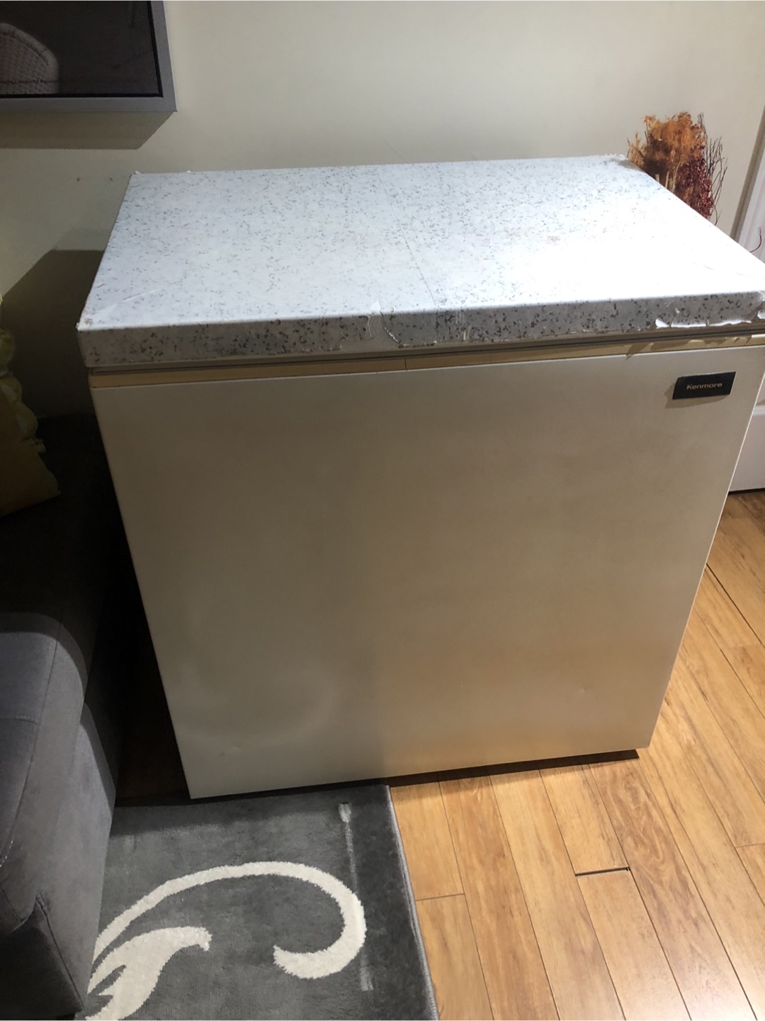 Kenmore Chest Freezer - photo 2