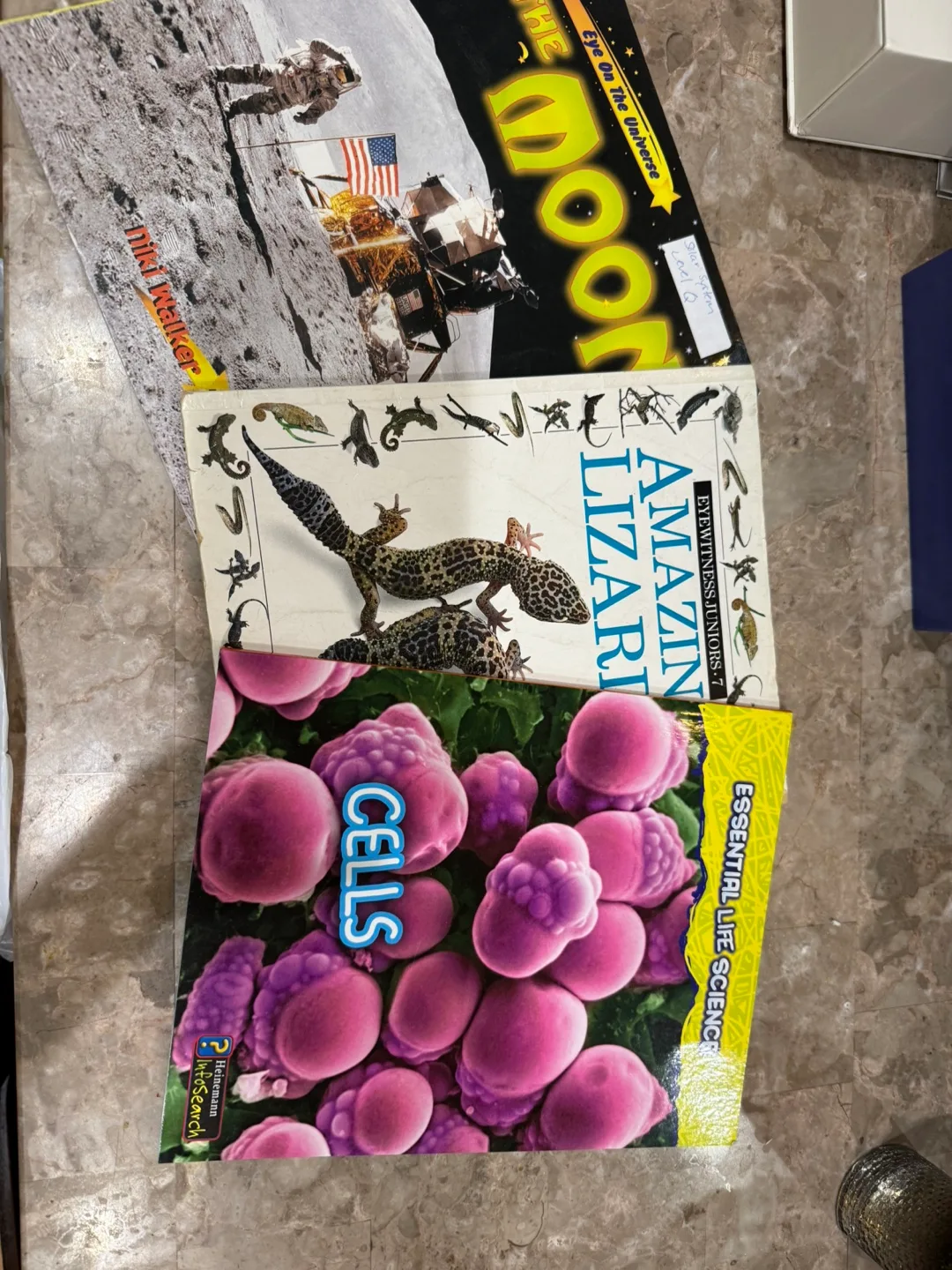 Children's Books & Plush image indicator(5)