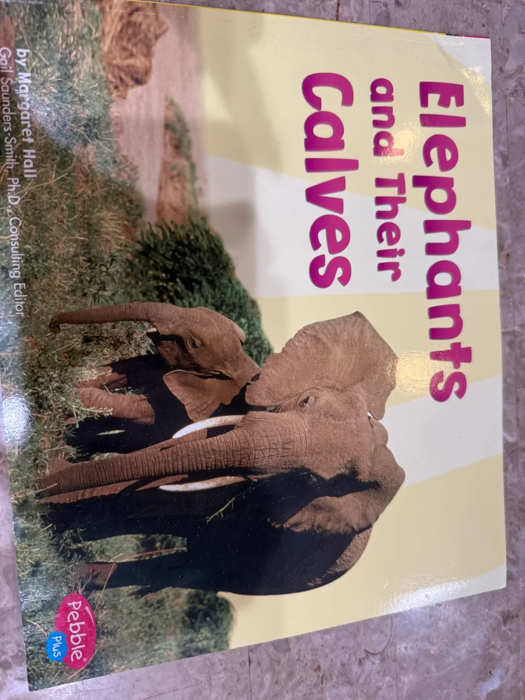 Children's Books & Plush image indicator(2)