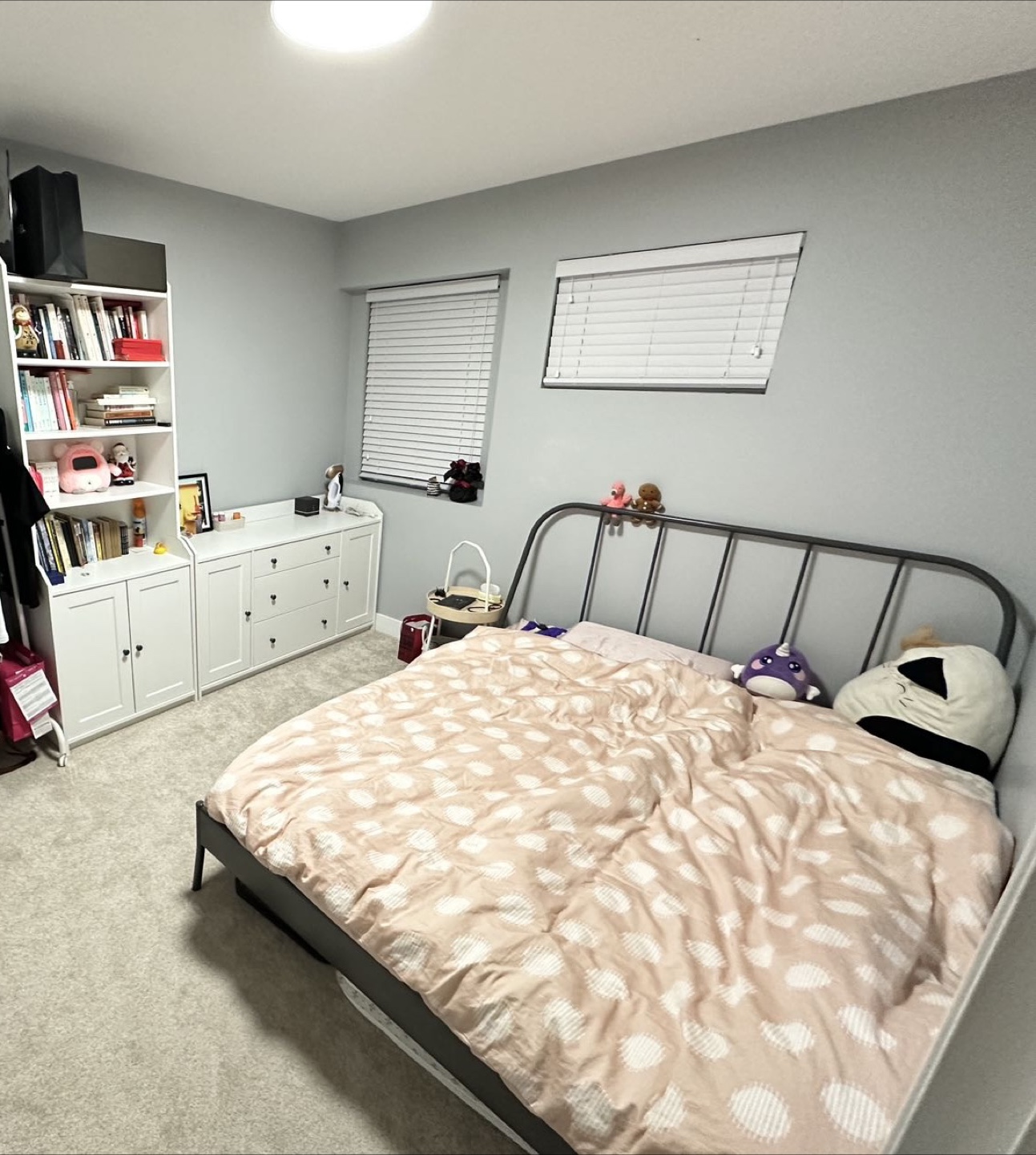IKEA MALM Bed Frame with mattress