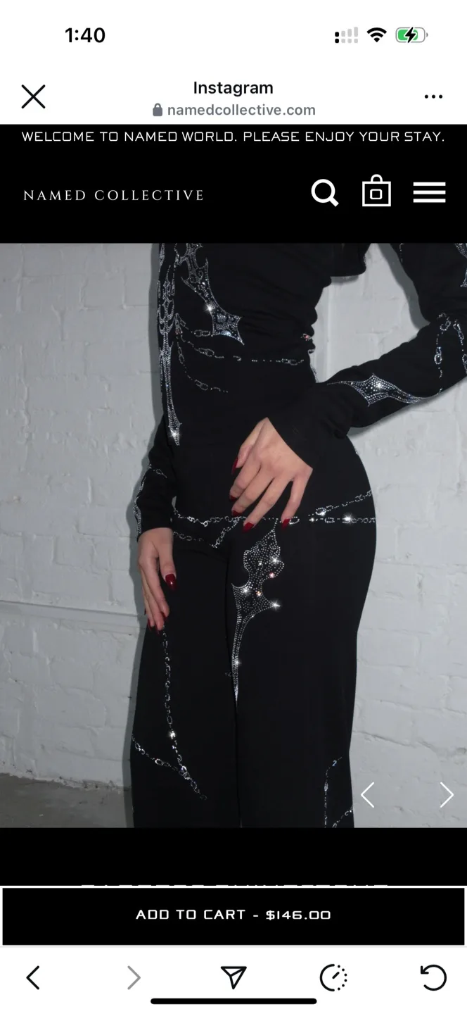 Named Collective Rhinestone Pants - Black image indicator(2)