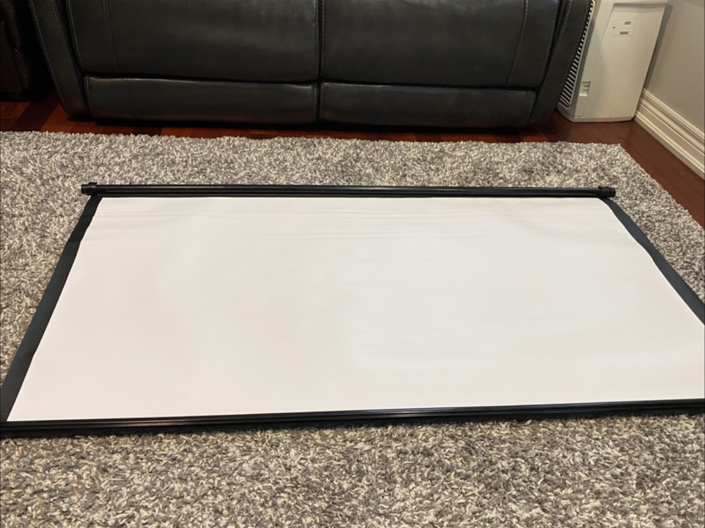 Portable Projector Screen