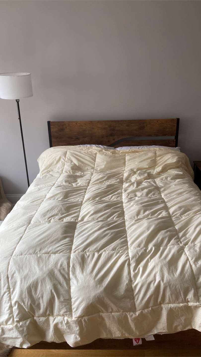 Bed frame & mattress
