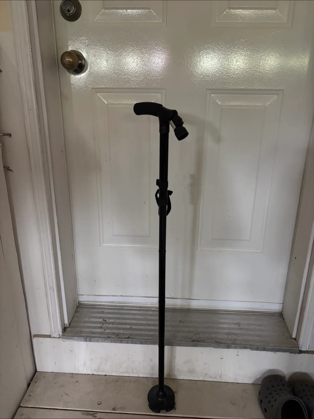 Walking Cane thumbnail