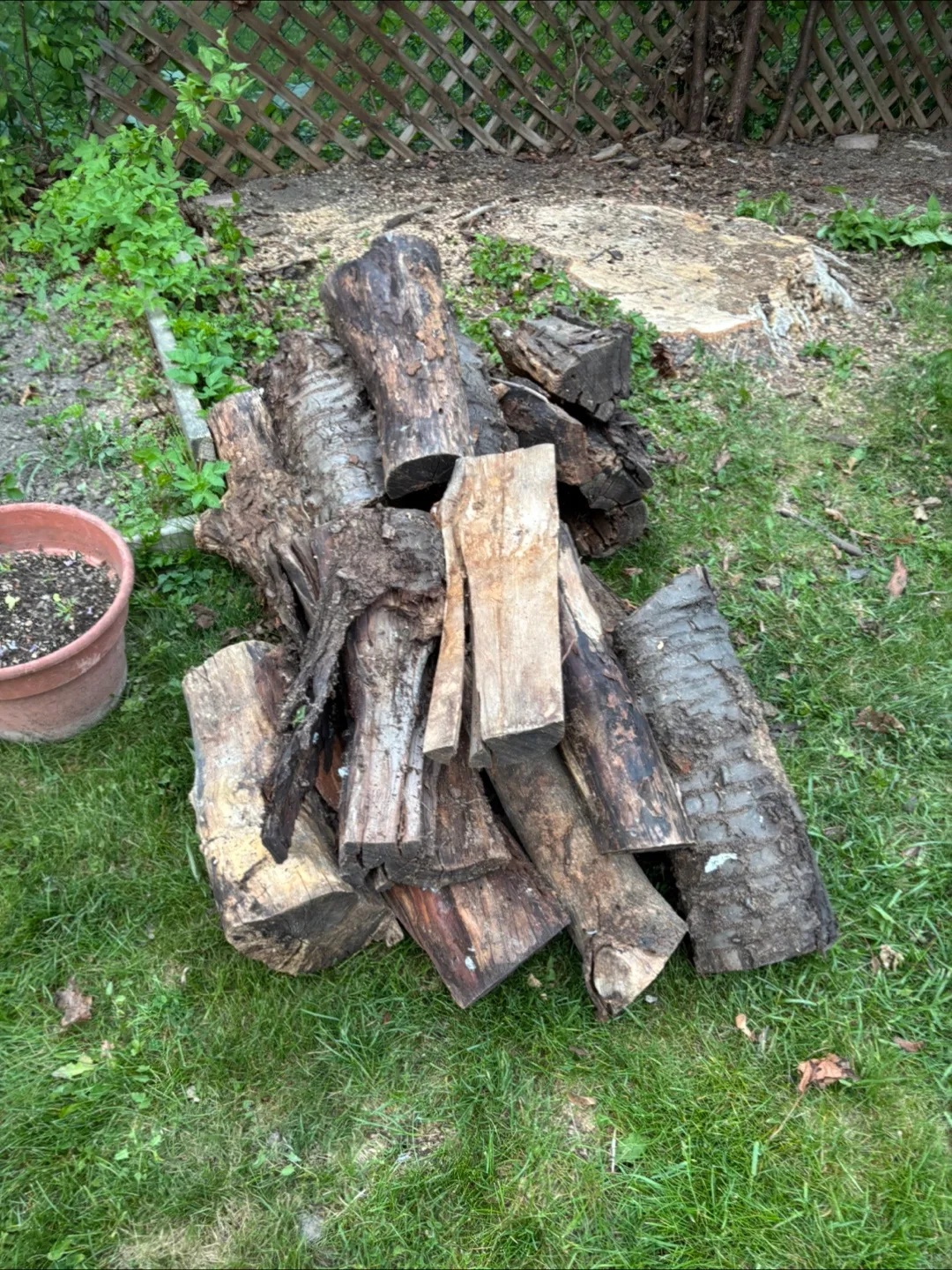 Firewood Bundle thumbnail