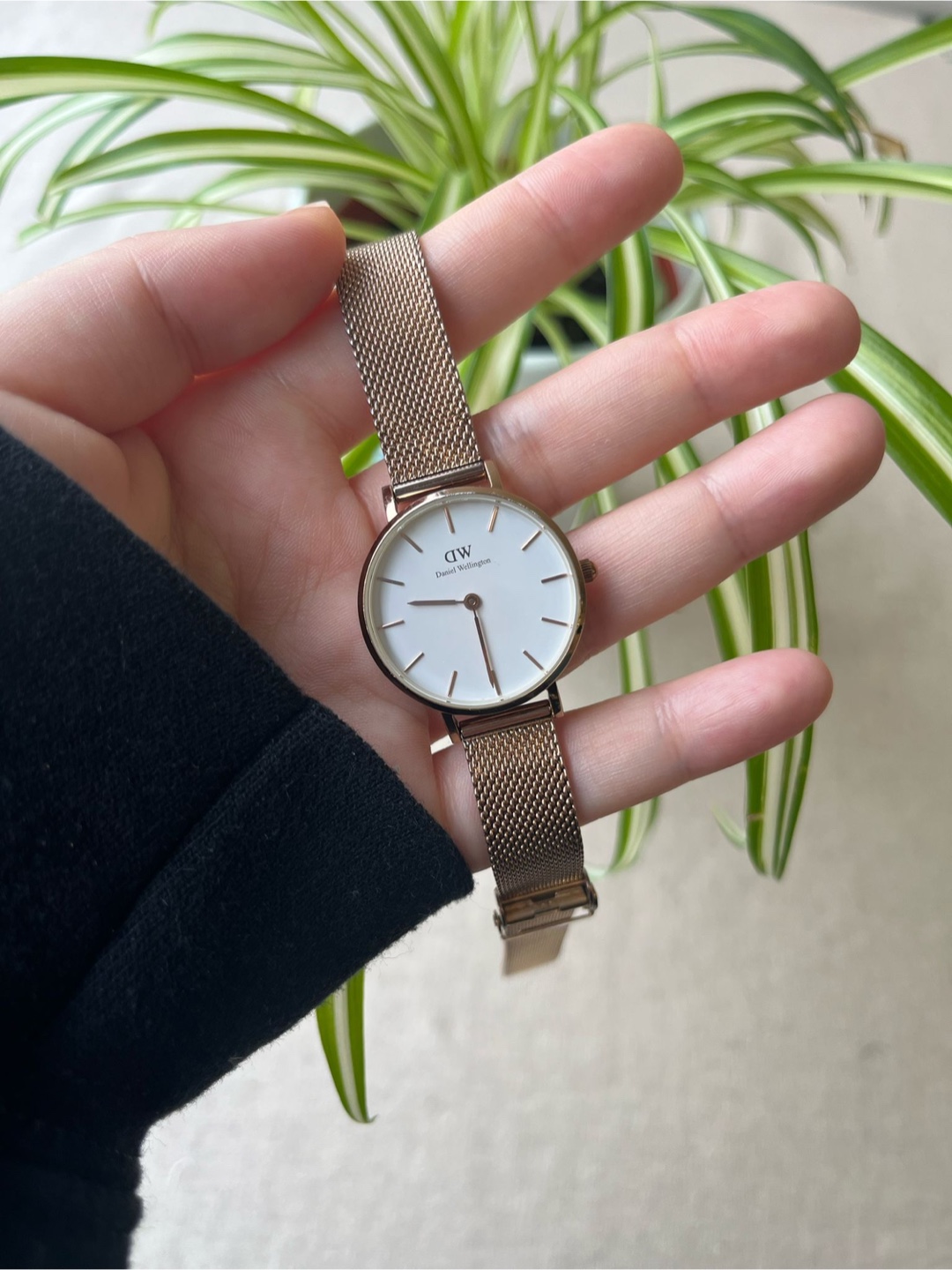 Daniel Wellington Classic Petite Rose Gold Mesh Watch