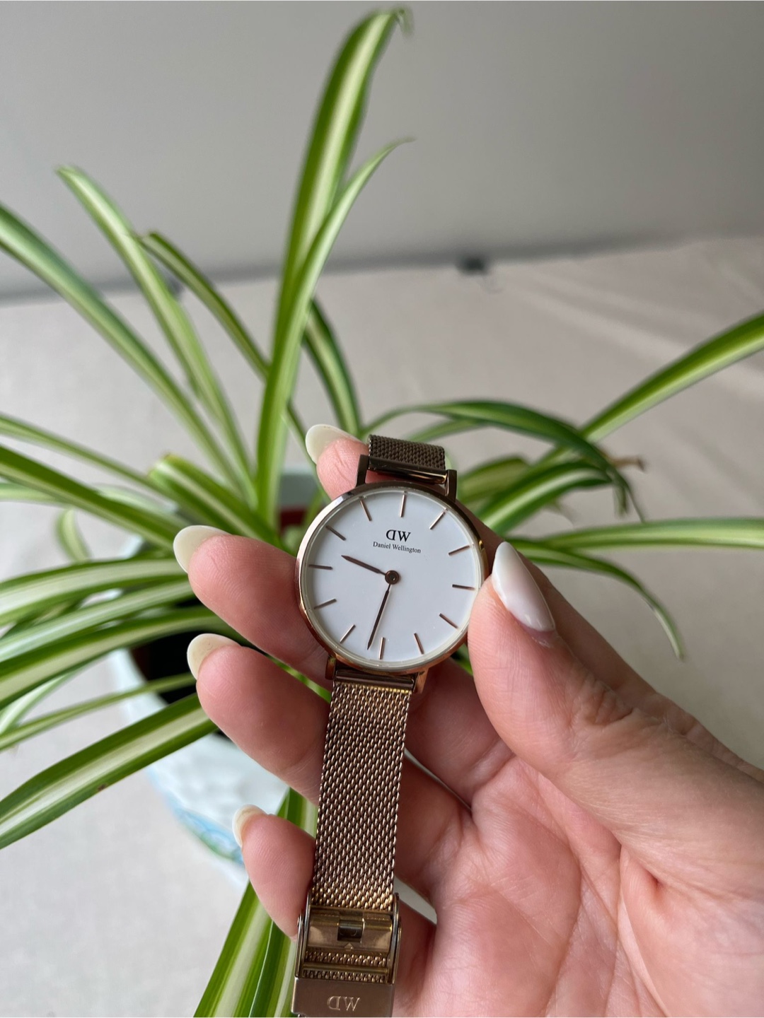 Daniel Wellington Classic Petite Rose Gold Mesh Watch - photo 2
