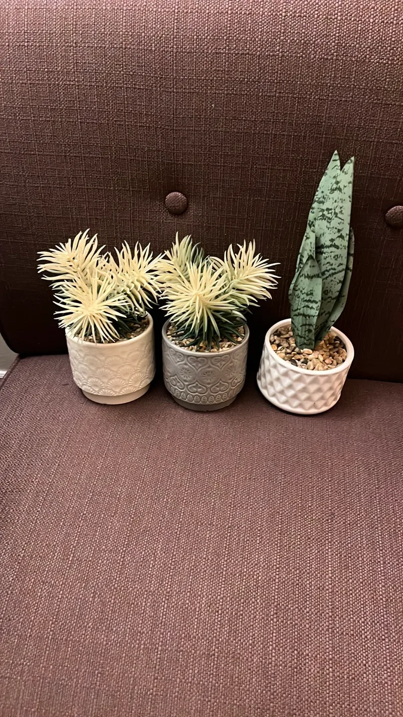 Three Faux Succulents in Ceramic Pots thumbnail