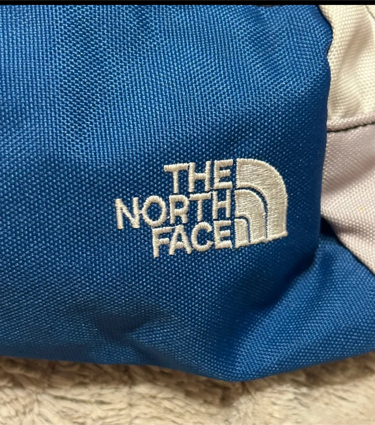 The North Face Hip Pack - Blue and Grey image indicator(2)
